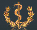 Försvarsmedicinska sällskapet Logotype